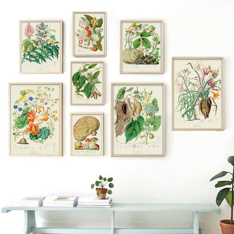 Vintage Collectible Posters - Colección botánica: carteles y estampados de